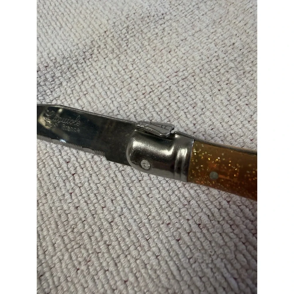 Set of 6 French Jean Dubost Laguiole steak knives plexiglass rainbow Vintage